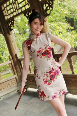 红楼小婢